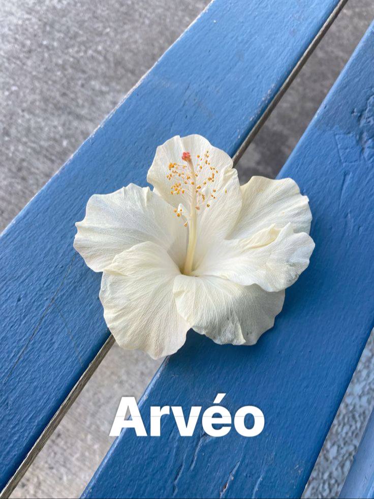 조향 중인 모습